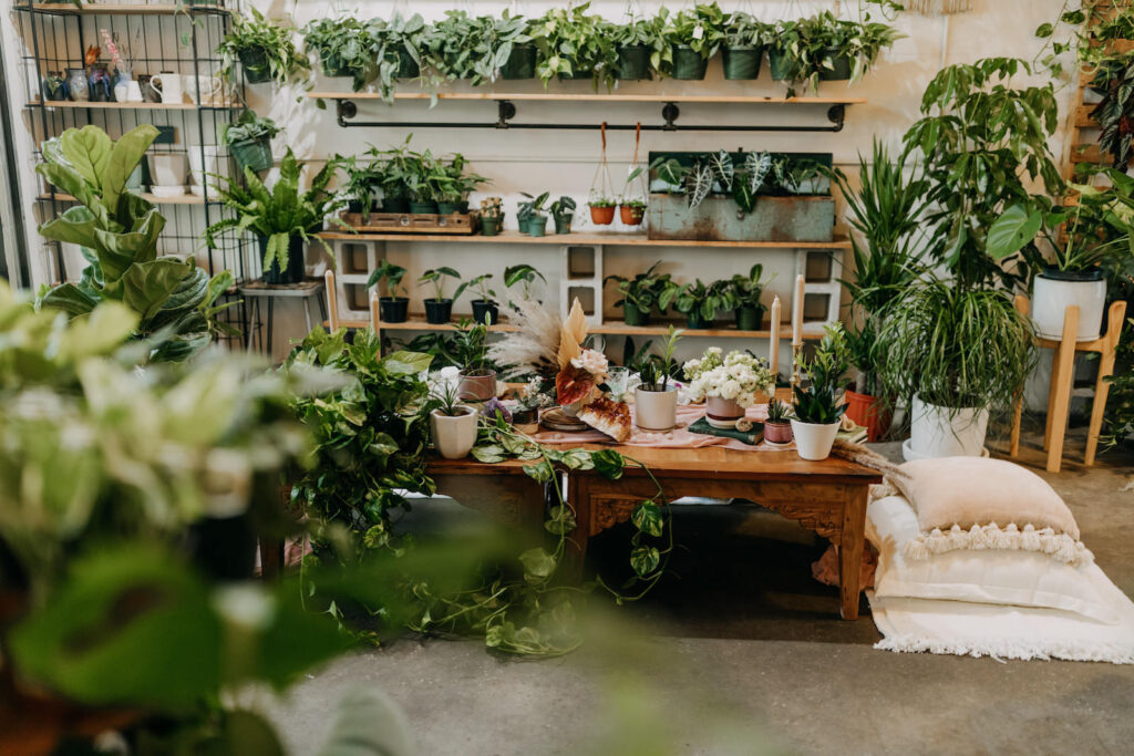 Discover the Benefits of Choosing Neutral Bay Florists for Your Locally Sourced Blooms